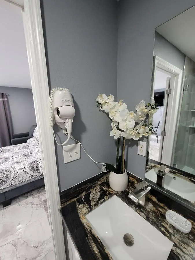 Luxurious Room Close To Everything Tampa Apartment